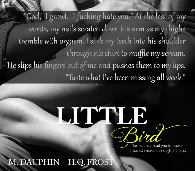 LITTLEBIRDTEASER2